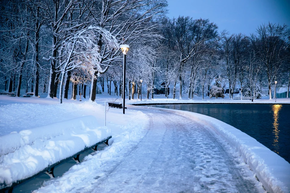 Allée enneigée au bord de l’eau, arbres et lampadaires au crépuscule.